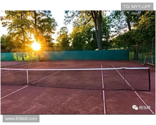 3. 网球比赛可分为草地、硬地和红土三种场地